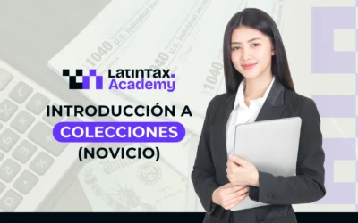 Introducción A Colecciones (Novicio) – RIFYB-T-00160-24-S