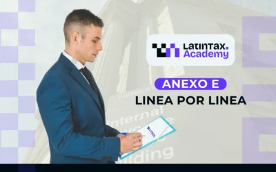 Anexo E Línea por Línea – RIFYB-T-00172-24-S